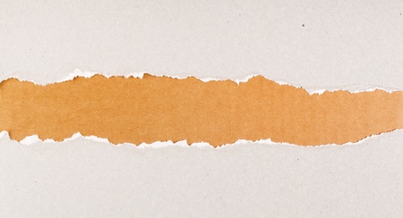 Torn paper strip series - gray cardboard ripped apart showing underlying brown layerの写真素材