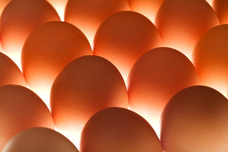 Brown eggs standing closely together - brightly underlitの写真素材
