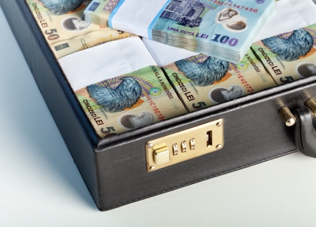 Romanian currency stacks in a briefcase - detailの写真素材