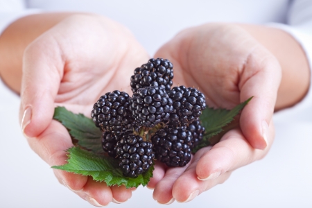 Fresh blackberries in woman hands - closeupの写真素材