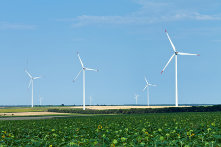 Wind turbines over sunflower and wheat fields in summer