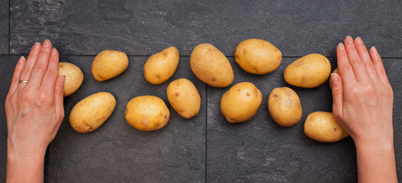 Woman hands spread yellow potatoes on dark slate table - top viewの写真素材