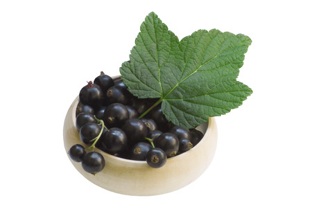 Black currants in a basketの写真素材