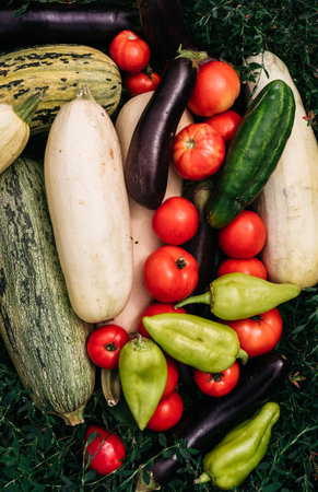 A lot of different colored freshly picked vegetables close-up. Green zucchini and cucumber, red tomatoes and blue eggplant. Sweet green and yellow bell pepper paprika. Vegetarian food, vegan.の写真素材