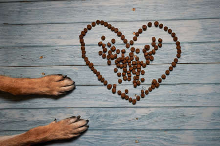 Red dog paws and heart made of dry dog food on blue wooden background. Creative dog for Valentines Day lies next to shape of heart symbol.の写真素材