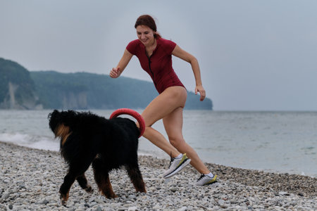 Caucasian pretty red haired woman in sneakers and Bernese mountain dog with red toy ring in mouth are running fast and actively playing on pebble beach. Walking with large dog on warm summer morning.の写真素材