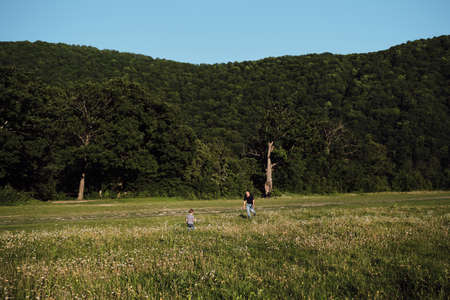 The boy runs into his fathers arms and the man opens his arms wide to catch the child. Father and son in chamomile field at sunset. Young family spends a fun time in nature in the park.の写真素材