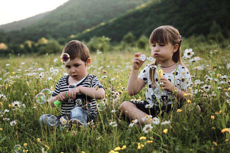 Children brother and sister sit side by side in chamomile field and blow soap bubbles. Charming kids...
