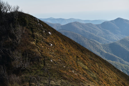 Mountain forests can be seen on horizon in distance. View from mountain to forest and high hills. Minimalistic nature screensaver. Autumn forest in all its glory is simply gorgeous.の写真素材