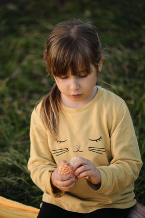 Little Caucasian girl of five years old is sitting in park on blanket and cleaning tangerine with two hands. Child with brown hair and bangs is focused.の写真素材