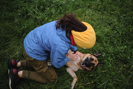 Close-up view of happy face of pet from above. German Shepherd dog lies in green grass and smiles when female owner touches her.の写真素材