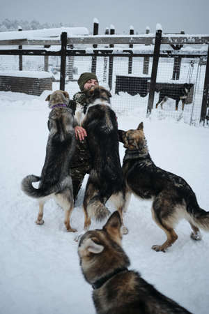 A young Caucasian man came to an animal shelter to choose a dog for himself. Northern sled Alaskan...