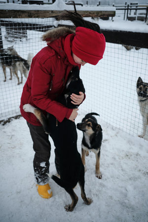 A young Caucasian woman came to an animal shelter to choose a dog for herself. Northern sled Alaskan...