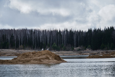 Quarries with sand and a reservoir in Russia, Moscow region. Artificially made lakes and ponds. Seagulls are sitting on a small island in the middle of the water.の写真素材