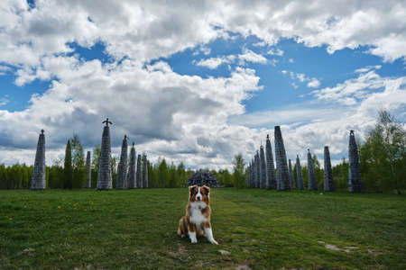 Nikola-Lenivets, KALUGA REGION, Russia - 15 may, 2022. Ugra National Park, park of modern art objects in nature. Australian Shepherd travels to popular places. Sculpture universal mind.のeditorial素材