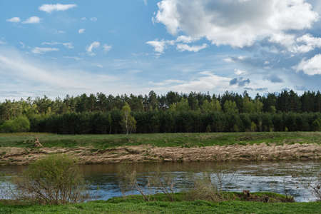Green glade, river and mixed forest illuminated by sun on warm spring day. Nature of Russia, Kaluga...