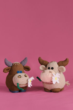Two brown bulls with a daisy in their mouth crocheted, handmade art. Amigurumi cow dolls on pink background. A soft DIY toy made of cotton and natural wool.の写真素材