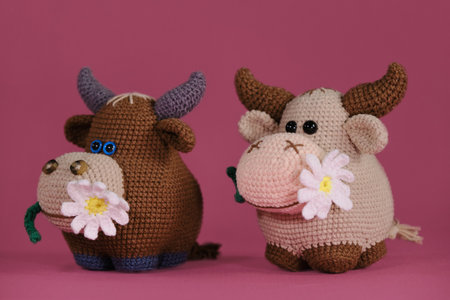 Amigurumi cow dolls on pink background. A soft DIY toy made of cotton and natural wool. Two brown bulls with a daisy in their mouth crocheted, handmade art.の写真素材