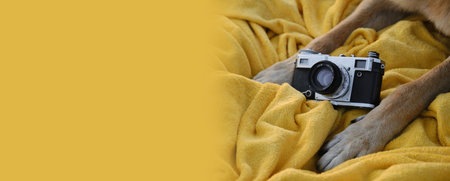 Red paws of a dog on a yellow plaid with a retro photo camera. Vintage camera and German Shepherd professional photographer. close-up view. Vintage film photography equipment. Banner with copy spaceの写真素材