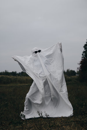 Creative Halloween costume for an adult. A ghost of a white sheet with black sunglasses dancing in an autumn field. Trick or treat concept.の写真素材