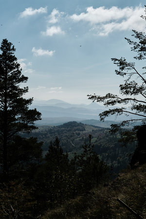 Beautiful autumn landscape. Mixed forest, green pines and fir trees. The nature of southwestern Serbia. Silhouettes of mountain ranges and peaks are visible in the distance on the horizonの写真素材