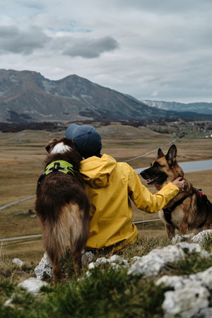 Hiking with pet concept. A young woman sits on top with german and australian shepherd dogs. Traveler in a yellow raincoat and admires the view of the mountain range. Vrazje jezero - Montenegroの写真素材