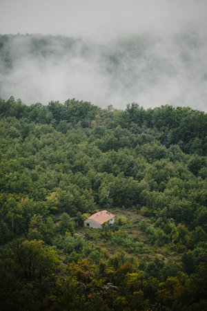 An old stone abandoned house with a leaky red tiled roof in the mountains of Montenegro. The site is overgrown with grass and bushesの写真素材