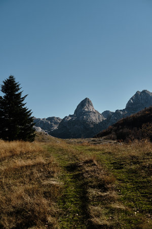 Mountain trail leading toward sharp rocky peaks under a clear blue sky in Montenegro. Autumn grass...