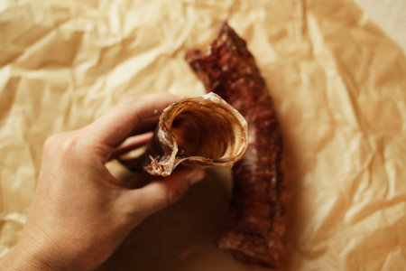 A hand holding a natural dried beef trachea - a healthy chew treat for dogs. Close-up shot highlighting the texture and quality of the single-ingredient pet snack on craft paperの写真素材
