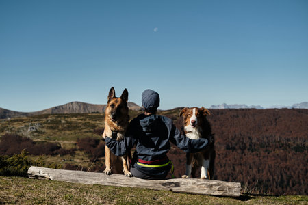 Woman sits on a log with two dogs. German and Australian Shepherds, enjoying peaceful autumn day in...