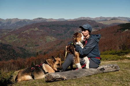 Woman sits on a log with two dogs. German and Australian Shepherds, enjoying peaceful autumn day in...