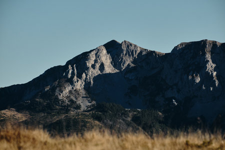 Autumn view of the Komovi mountain range in Montenegro, with dry golden grass in the foreground and rugged grey peaks under clear skies in the background. Sunset in mountainsの写真素材