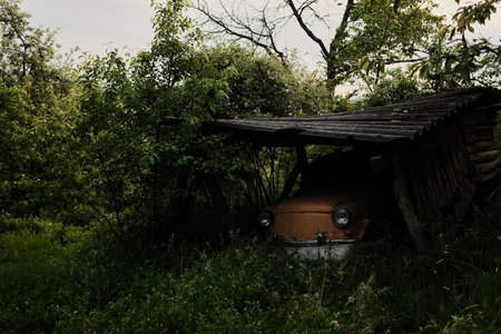 An old yellow car partially hidden under a wooden shed, overgrown with wild grass and surrounded by bushes. Serbian village in spring timeの写真素材