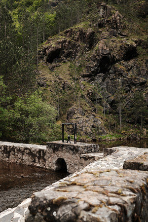 Rocky hill and river landscape with pine forest in Mokra Gora, western Serbia in spring season.の写真素材