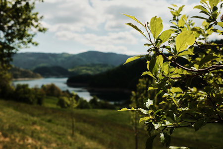 A scenic view of Zaovine Lake surrounded by lush green hills in Tara National Park, Serbia. Early summer landscape with peaceful waters and forest-covered mountainsの写真素材