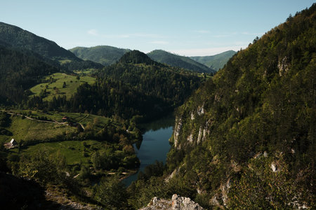 Scenic spring view of the canyon and river in Tara National Park, Serbia, with lush green forests and mountain peaksの写真素材