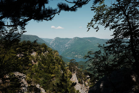 Scenic view through trees of the Drina River canyon in Tara National Park, Serbia. Perucac - Peruchac lake. Banjska Stena viewpointの写真素材