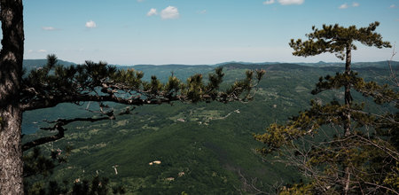 Vast green valley seen from high above in Tara National Park, framed by pine tree branches under a blue summer sky. Panoramic view, Serbia country landscapeの写真素材