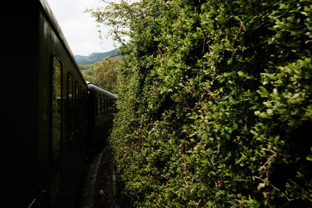 Train passing through thick green bushes on the Shargan Eight railway route in Serbia. Sarganska...