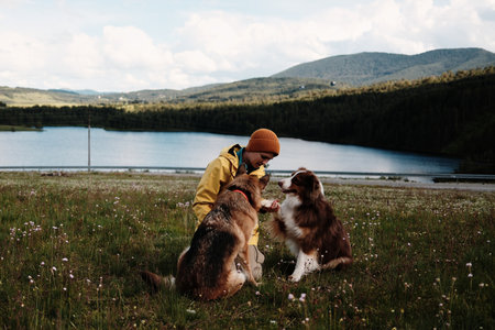 A woman kneels on a flower-covered field, training two dogs with Ribnicko Lake and forested hills behind in Zlatibor, Serbia. Female owner with german and australian shepherds play outdoorの写真素材