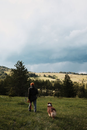 Man walking with an Australian Shepherd dog in the grassy hills of Zlatibor, Serbia, under a moody...