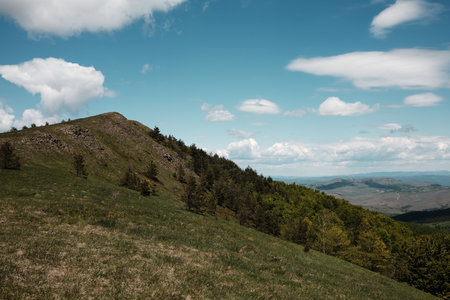 Rocky grassy slope and treeline below the peak of Mount Cigota in spring, with puffy clouds above.の写真素材