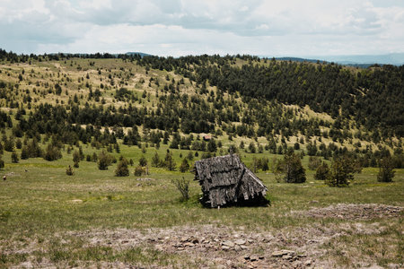 Abandoned mountain hut in the green hills of Zlatibor, surrounded by spring pine trees and scenic meadowsの写真素材