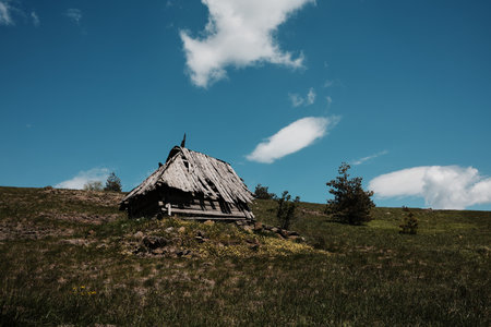 Old wooden hut with yellow wildflowers blooming in the foreground on the slopes of Cigota mountain,...