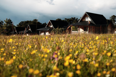 Modern wooden cottages surrounded by wildflower meadow in spring near Zlatibor, Serbia
