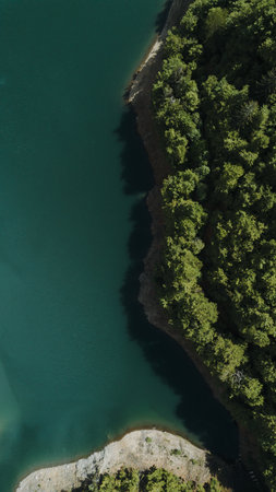 Aerial top-down photo of deep green water and the tree-covered shorelines of Zaovine Lake. Tara National Park. Serbia during springの写真素材