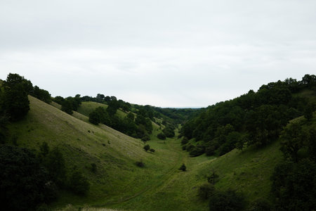 A wide view of a lush green valley between rolling hills in Zagajicka Brda, Serbia, stretching toward the horizon under a cloudy skyの写真素材