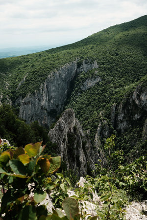 Wide panoramic view of Lazarev Canyon in Serbia. Dramatic cliffs and dense forest fill the scene under a partly cloudy sky in springの写真素材