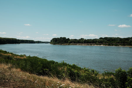 Scenic view of the Danube river near Apatin, Serbia, with calm water, sky, and green shoreline.