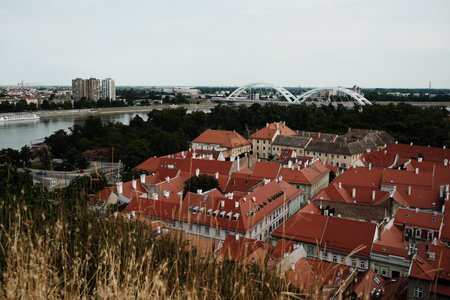 Elevated view of Novi Sad with red rooftops of Petrovaradin and modern buildings across the Danube Riverの写真素材